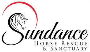 SUNDANCE HORSE RESCUE